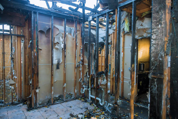 Professional Odor Removal technician working in Sophia, WV